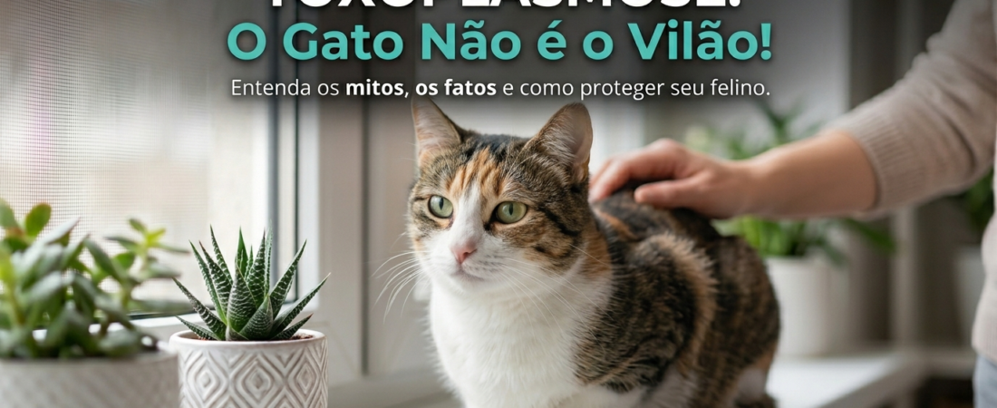 Toxoplasmose e Gatos (O Guia Definitivo)